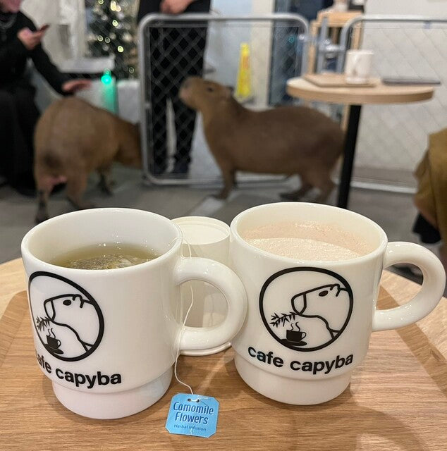 Cafe Capyba Reservation